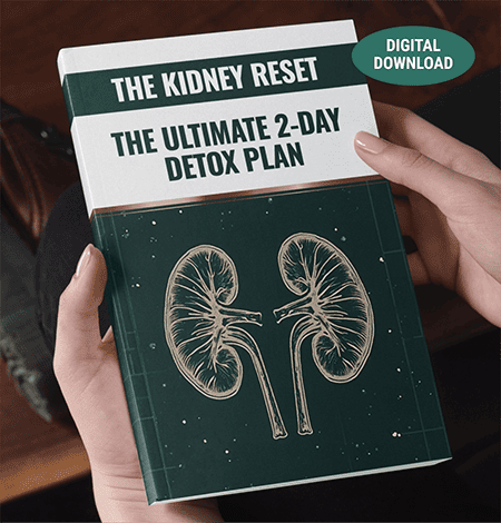 The Kidney Reset detox plan bonus guide